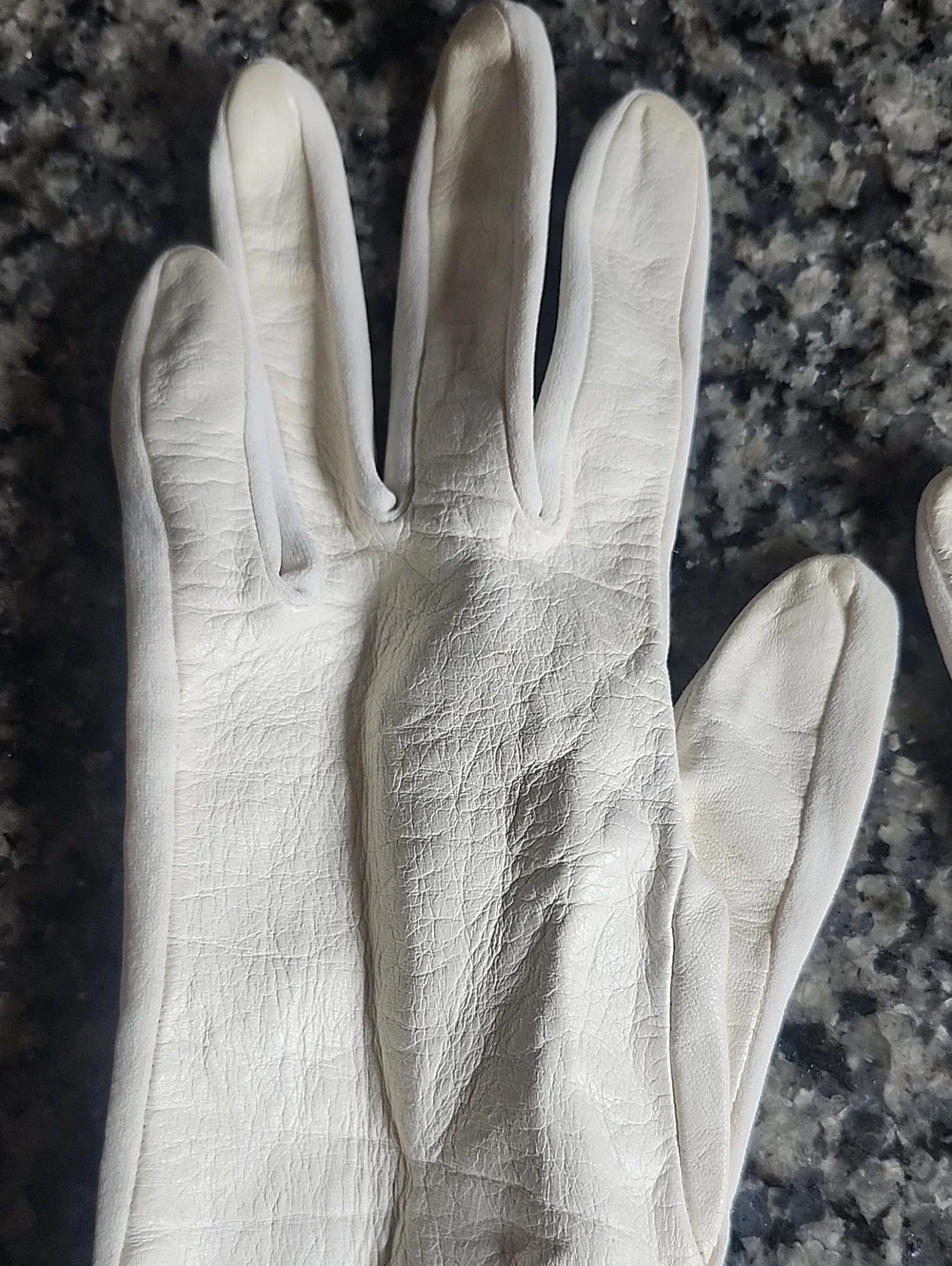 Vtg Van Raalte Ivory Leather Long Opera Gloves Size 8